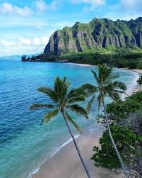 Top or Best Graphics for Streamers Agencies and Companies in Honolulu, Hawaii