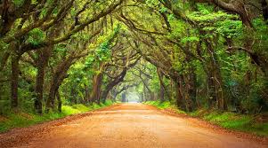 Top Banner Ads Agencies in South Carolina