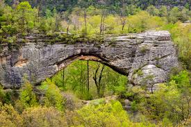 Top AR Filters & Lenses Agencies in Kentucky