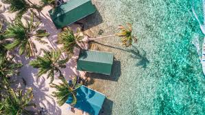 Top Logo Animation in Belize