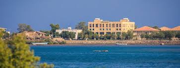 Top Brand Identity Packages in Eritrea