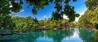 Top NFT Art Agencies in Vanuatu
