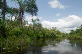 Top Video Editing Services in Benin