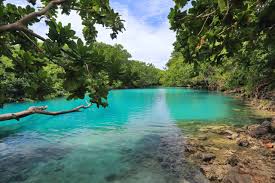 Top Drawing and Illustration Agencies in Vanuatu