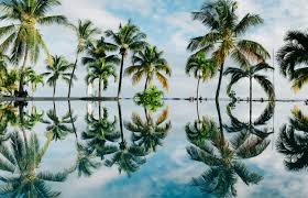 Top 5 Direct Mail Design Agencies in Mauritius