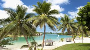 Top Business Card Design Agencies in Vanuatu