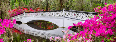 Top AR Filters & Lenses Agencies in South Carolina