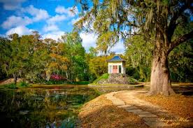 Top App UI/UX Design Agencies in Louisiana