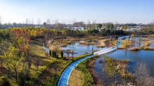 Top or Best LinkedIn Management Agencies and Companies in Zhoukou, China