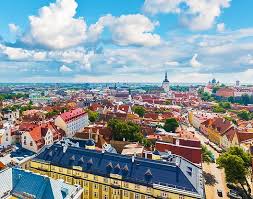 Top Menu Design Services in Estonia: DolFinContent Leading the Way
