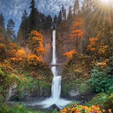 Top and Best Poster Design Services in McMinnville, Oregon