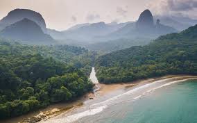 Top Brochure Design Agencies in Sao Tome and Principe