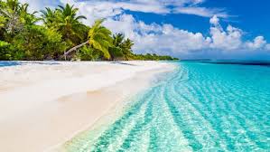 Top Banner Ads Design Agencies in the Bahamas