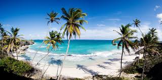 Top Website Design in Barbados
