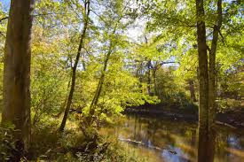 Top or Best Direct Mail Design Agencies and Companies in Fort Wayne, Indiana