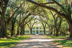 Top Brochure Design Agencies in Louisiana