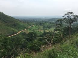 Top Infographic Design Agencies in Togo