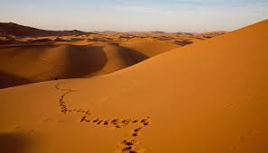 Top AR Filters and Lenses Agencies in Mauritania