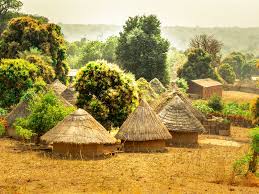 Top 5 Infographic Design Agencies in Senegal