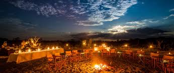 Best Twitch Management Companies in Botswana