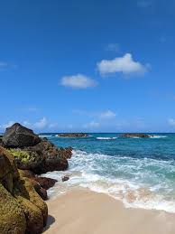 Top or Best Banner Ad Agencies and Companies in Honolulu, Hawaii