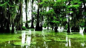 Top Poster Design Agencies in Louisiana