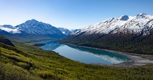 Top or Best Flyer Design Agencies and Companies in Meadow Lakes, Alaska