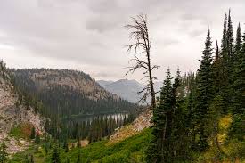 Top or Best Brand Identity Package Agencies and Companies in Nampa, Idaho