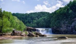 Top Brochure Design Agencies in Kentucky