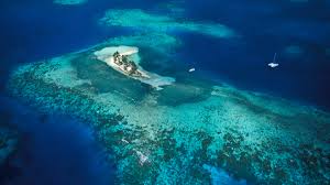 Top AR Filters & Lenses in Belize