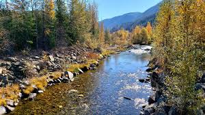 Top or Best Portrait and Caricature Agencies and Companies in Nampa, Idaho