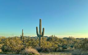 Top or Best Catalog Design Agencies and Companies in Glendale, Arizona