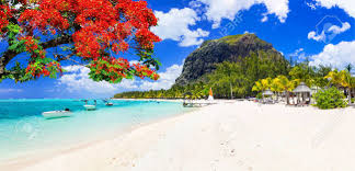 The Top 5 Postcard Design Agencies in Mauritius