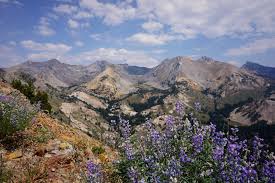 Top or Best Flyer Design Agencies and Companies in Nampa, Idaho