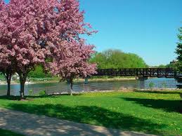 Top or Best YouTube Management Agencies and Companies in Eagan Minnesota