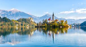 Top Social Media Design Agencies in Slovenia
