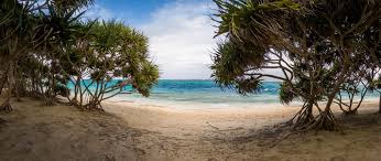 Top Brochure Design Agencies in Vanuatu