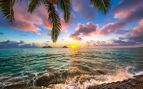 Top or Best Website Design Agencies and Companies in Honolulu, Hawaii