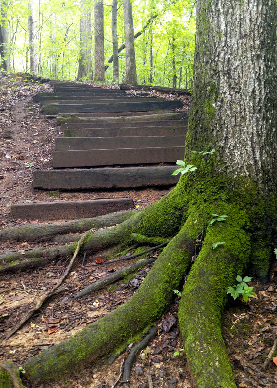 Top or Best Catalog Design Agencies and Companies in Chapel Hill, North Carolina