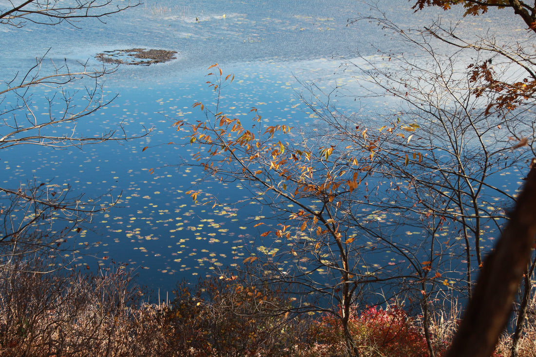 Top or Best Social Media Design Agencies and Companies in Ramapo, New York