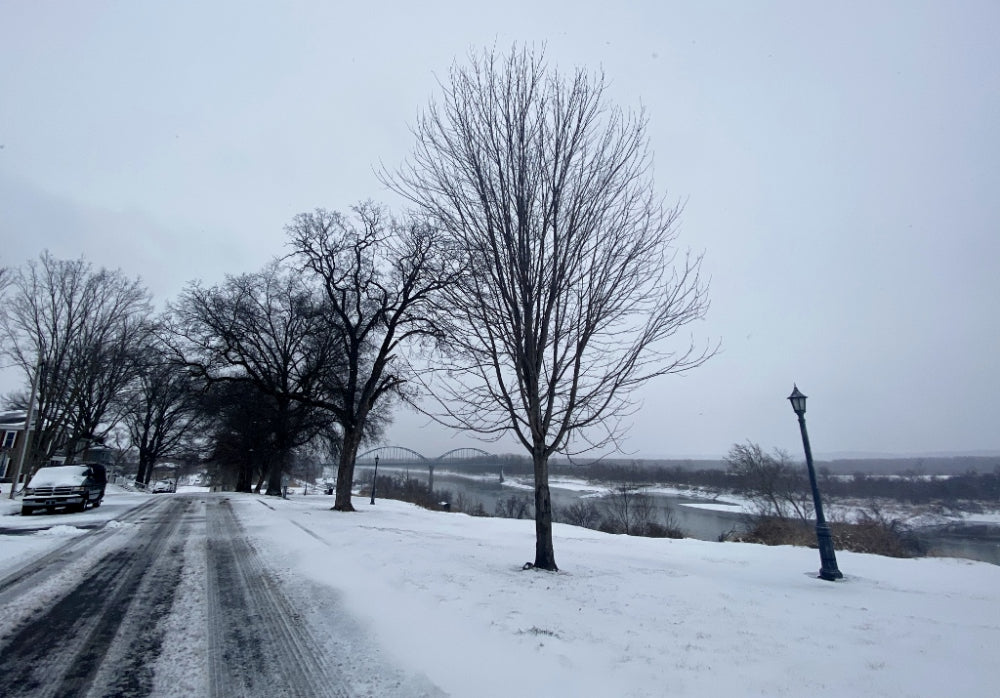 Top or Best Infographic Design Agencies and Companies in Leavenworth, Kansas