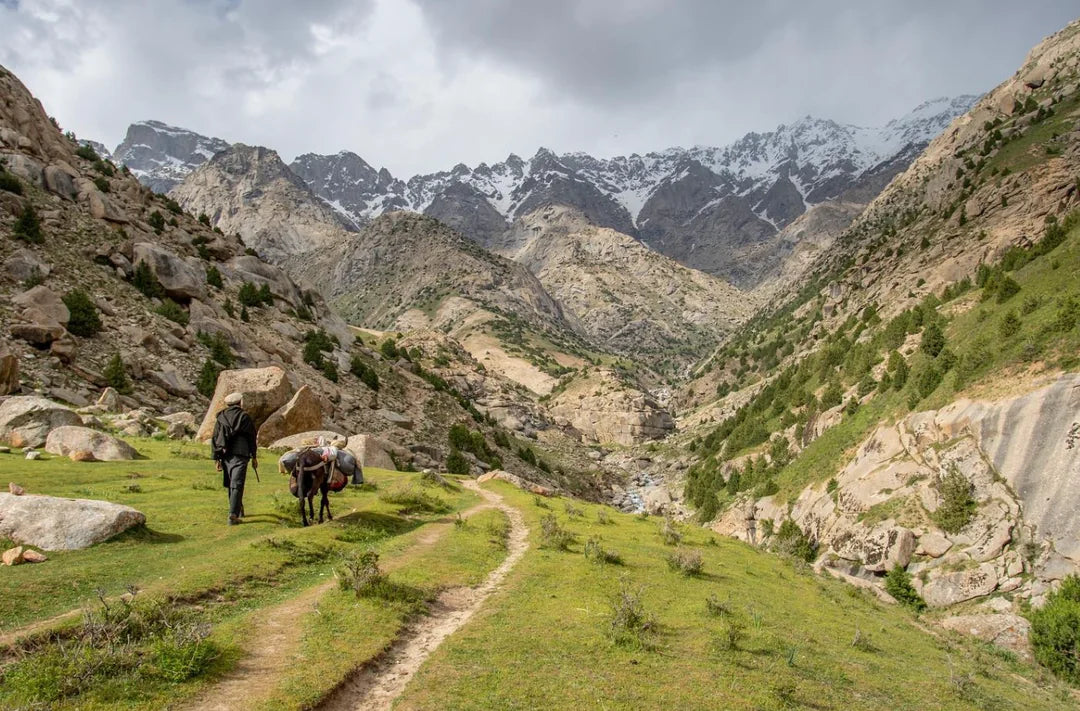 Top NFT Art Agencies in Afghanistan