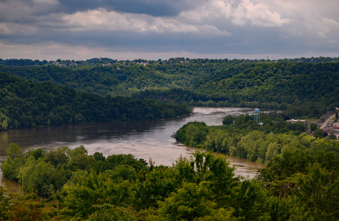 Top or Best Animation and Motion Graphics Agencies and Companies in Weirton, West Virginia