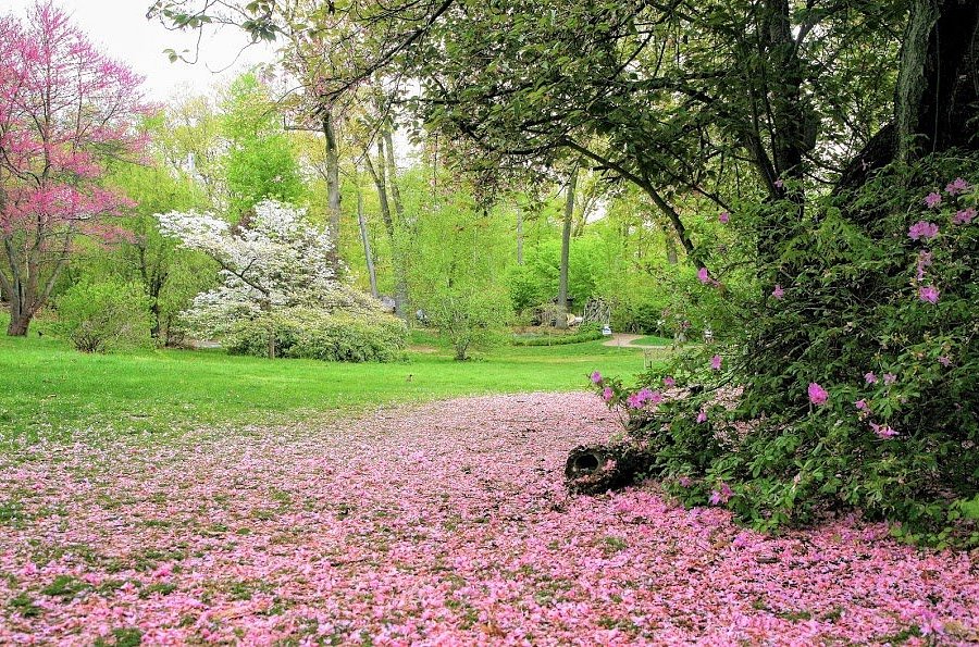 Top or Best Custom Graphics for Videos Agencies and Companies in Greenburgh, New York