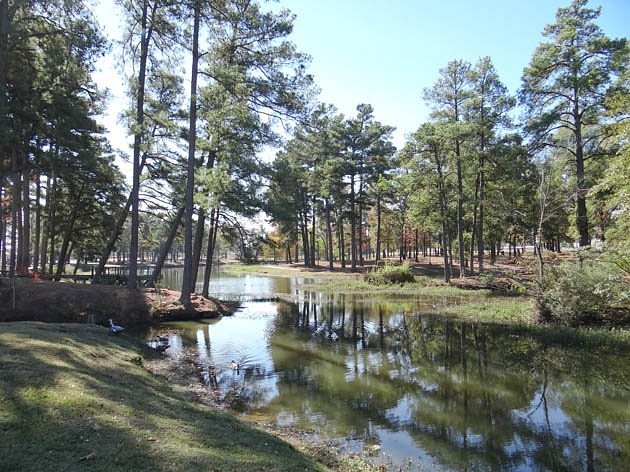 Top or Best Presentation Design Agencies and Companies in Texarkana, Arkansas