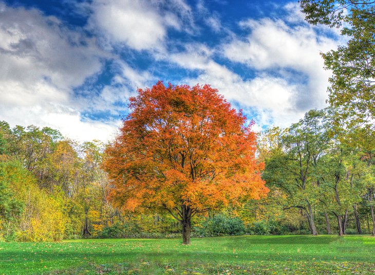 Top or Best Instagram Management Agencies and Companies in Fort Wayne, Indiana