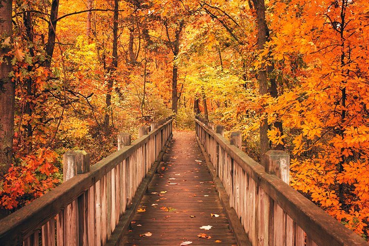 Best Instagram Management Companies in Indiana