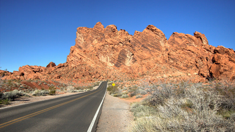 Top NFT Art Agencies in Nevada