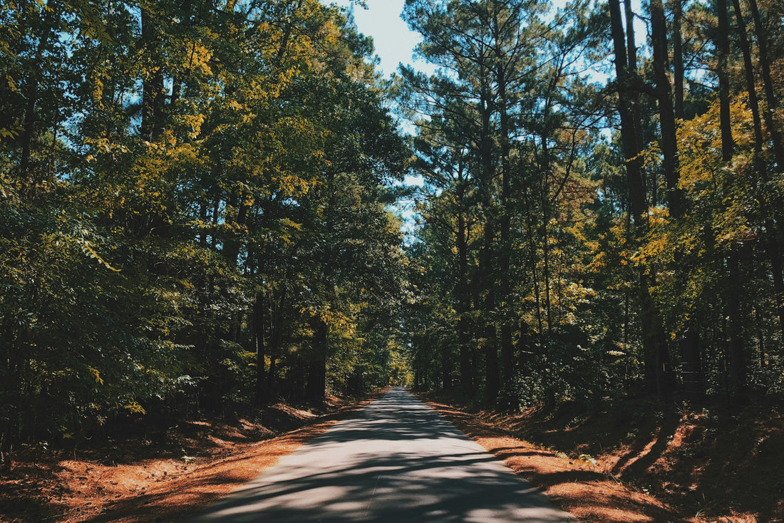 Top and Best Animation and Motion Graphics Agencies and Companies in Burlington, North Carolina