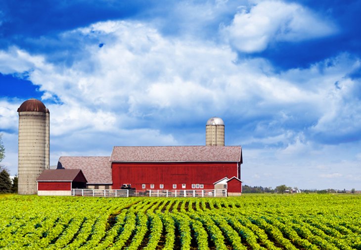 Top or Best Banner Ad Agencies and Companies in Johnston, Iowa